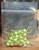 25 Pk - 1/32 oz Ballhead Jigs