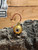 1/8, 1/4, 3/8 Short Shank Livebait Jigs