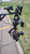 Camera Chase car setup