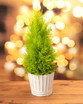 Lemon Cypress Tabletop Christmas Tree