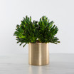 Faux Coral Sedum in Metal Cylinder Pot