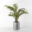 Faux Fern in Grey Cylinder Planter