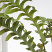 Faux Fern in Grey Cylinder Planter