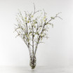 Faux White Quince Blossom Stems with Twigs in Glass Vase