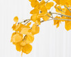 Faux Fall Yellow Aspen Leaf Stems in Glass Vase