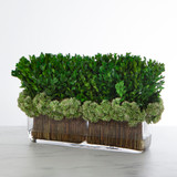 Faux Perserved Boxwood in Rectangle Glass Vase