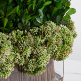 Faux Perserved Boxwood in Rectangle Glass Vase