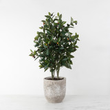 Faux Olive Tree in Grey Cement Planter