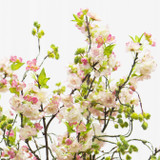 Faux Pink Cherry Blossom Stems in Glass Vase