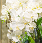 Faux White Phalaenopsis Orchid in Glass Vase