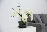 Faux White Phalaenopsis Orchid in Glass Vase
