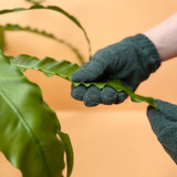 Houseplant Leaf Cleaning Gloves