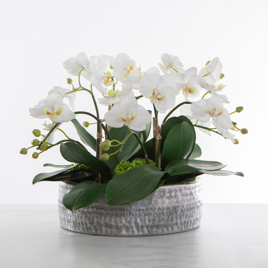 Faux White Phalaenopsis Orchid in Aluminum Low Cylinder Pot