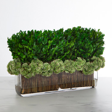 Faux Perserved Boxwood in Rectangle Glass Vase