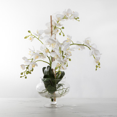Faux White Phalaenopsis in Glass Pedestal Jar