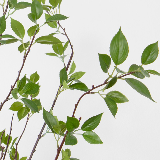 Faux Green Dogwood in Grey Cylinder Planter