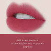 New Arrival Velvet Matte Lip Gloss Women Beauty Cosmetic Lip Glaze Nude Natural Lip Makeup Waterproof Long lasting|Lip Gloss|