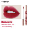New Arrival Velvet Matte Lip Gloss Women Beauty Cosmetic Lip Glaze Nude Natural Lip Makeup Waterproof Long lasting|Lip Gloss|