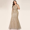 Plus Mesh Overlay Sequin Appliques Mermaid Dress
