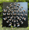 Circle of Butterflies Wall Art Black