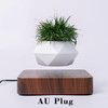 Magnetic Levitation Suspension Flower Floating Pot