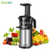 Stainless Steel Masticating Slow Auger Juicer