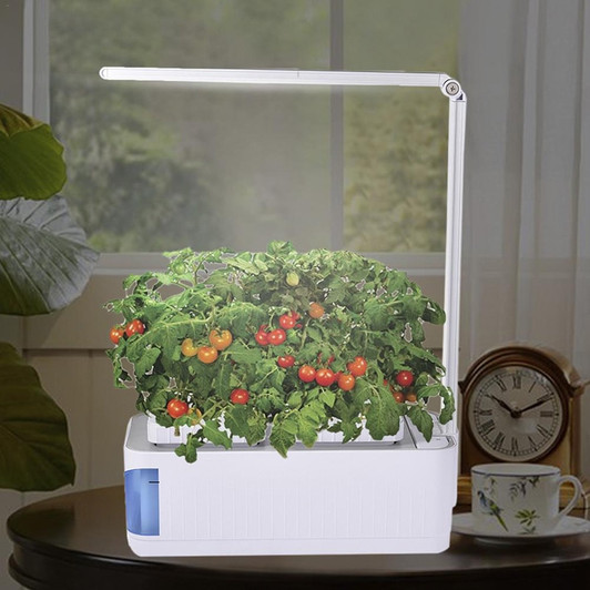 Desk Lamp Hydroponic Herb Garden Kit