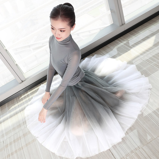 Women Ballet leotards Adults Dance Tops Skirts Suits Adults Soft Gradient Gray Ballet Dress Dance Costumes|Ballet|