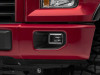 Photo - Close Up