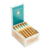 Ferio Tego Metropolitan Host Harrington Cigars - 6 x 48 (Box of 18) Open