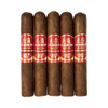 La Aurora 107 Ecuador Robusto Cigars - 5 x 50 (Pack of 5) *Box