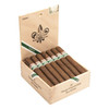 Tatuaje Conoju 2012 Tuxtla Cigars - 6.5 x 52 (Box of 21) Open