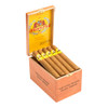 Baccarat Petit Corona Cigars - 5.5 x 44 (Box of 25) Open