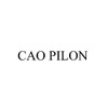 CAO Pilon Logo
