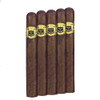 Hoyo de Monterrey Governor Maduro Cigars - 6.12 x 50 (Pack of 5) *Box