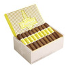 CAO Flathead V450 Spark Plug Cigars - 4.5 x 50 (Box of 20) Open