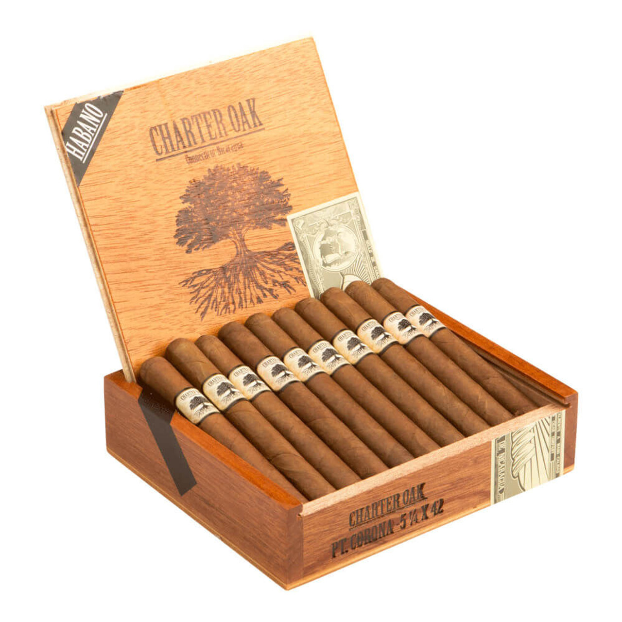 Foundation Charter Oak Petite Corona Habano Cigars - 5.25 x 42 (Box of 20) Open