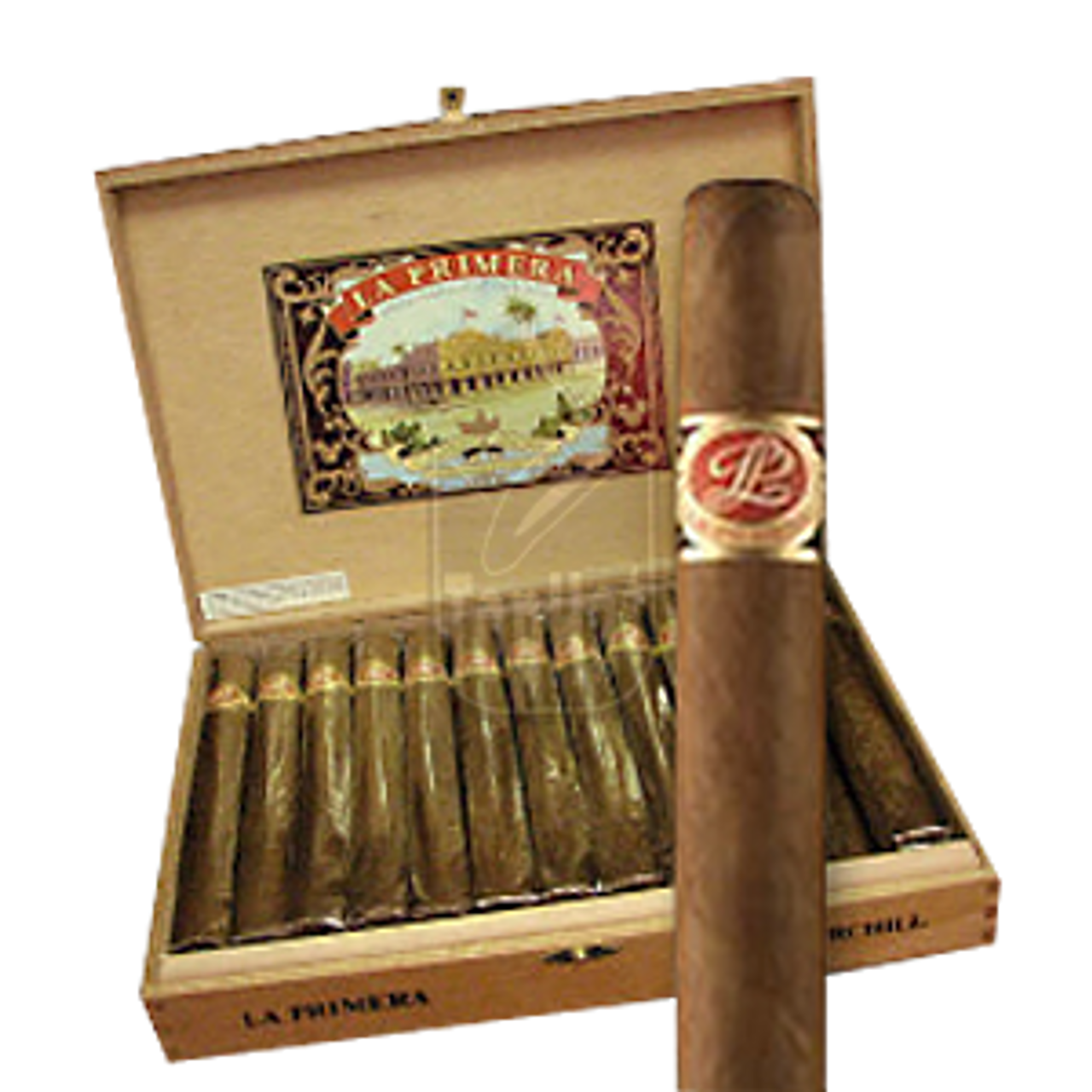 La Primera Wavell Cigars - 5 x 50 (Box of 25)