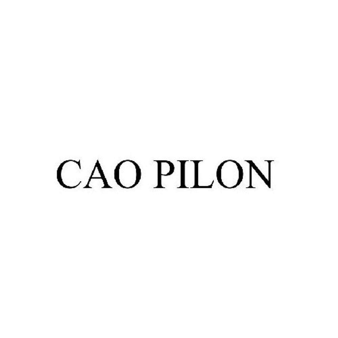 CAO Pilon Logo