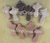 MinistryPack : LARGE : Domestic Woods (10 crosses) : Save $67.00