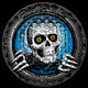 Powell Peralta