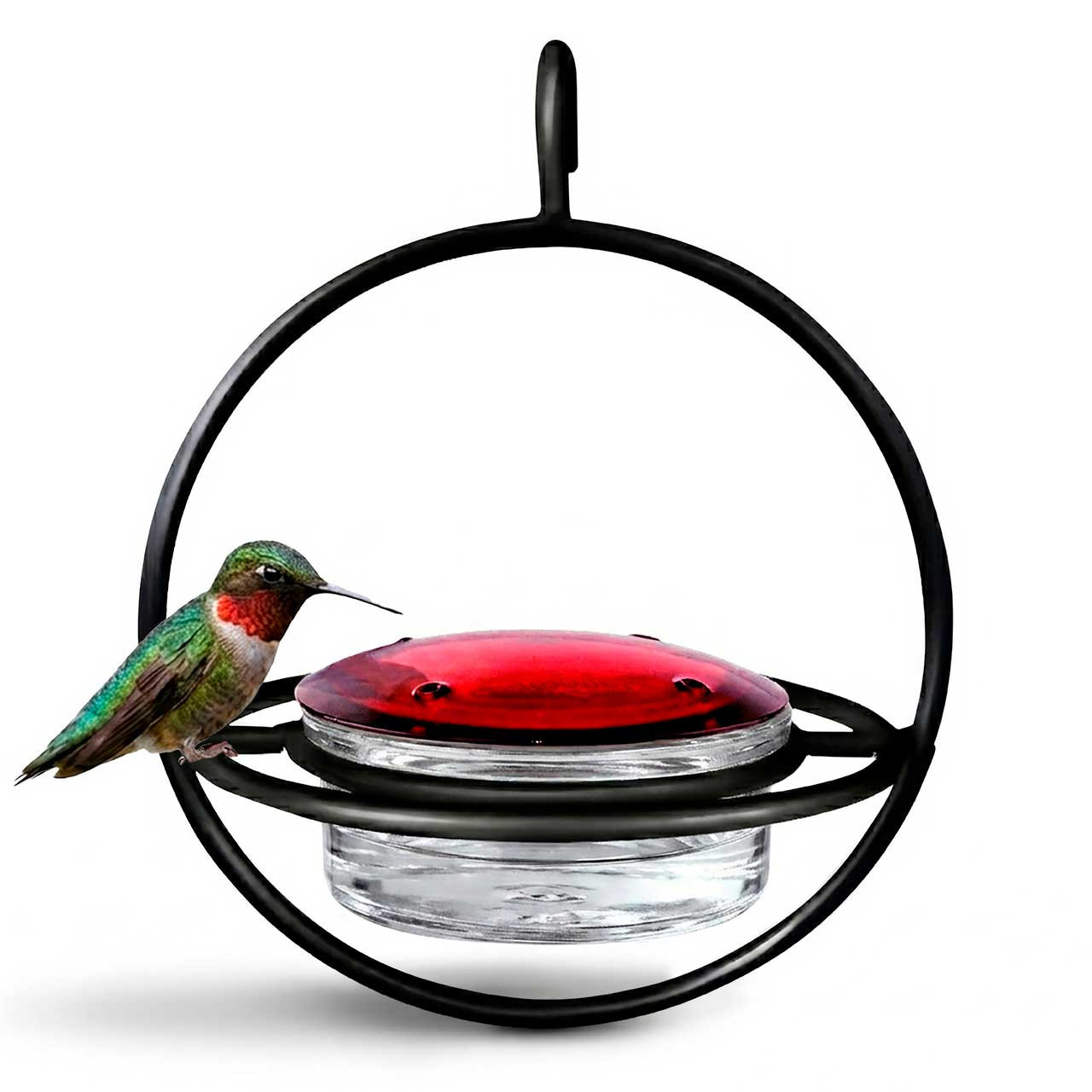 ハミングバードページ Hummble Bold Hummingbird Feeder | Mosaic Birds