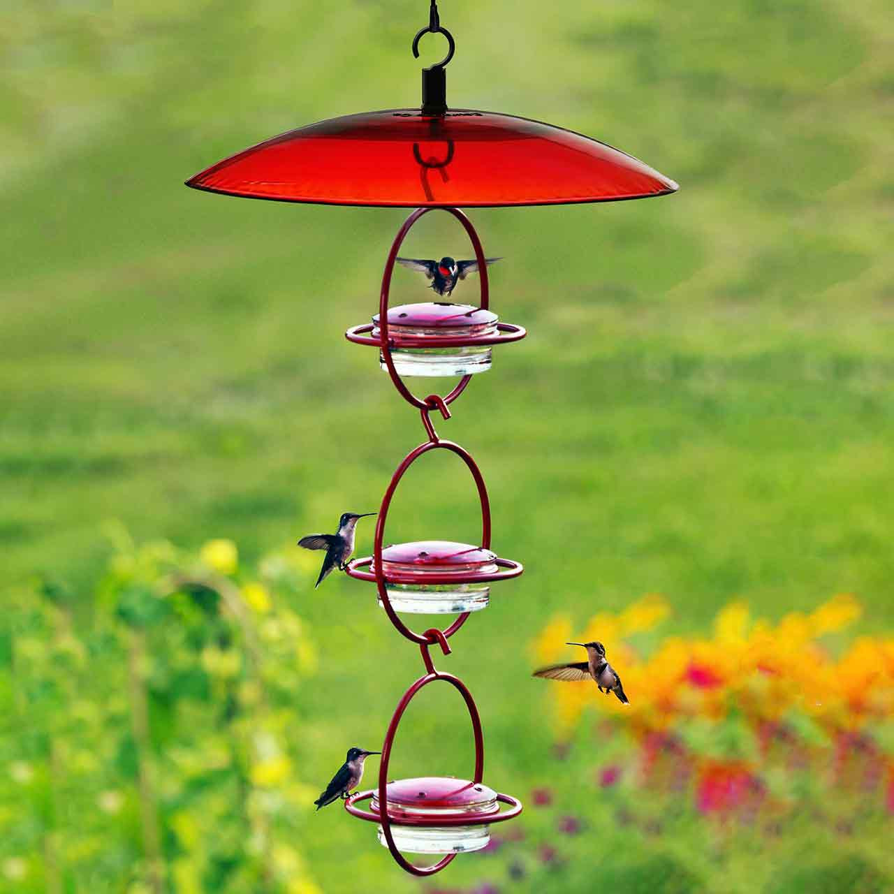 Hummble Bold Hummingbird Feeder | Mosaic Birds