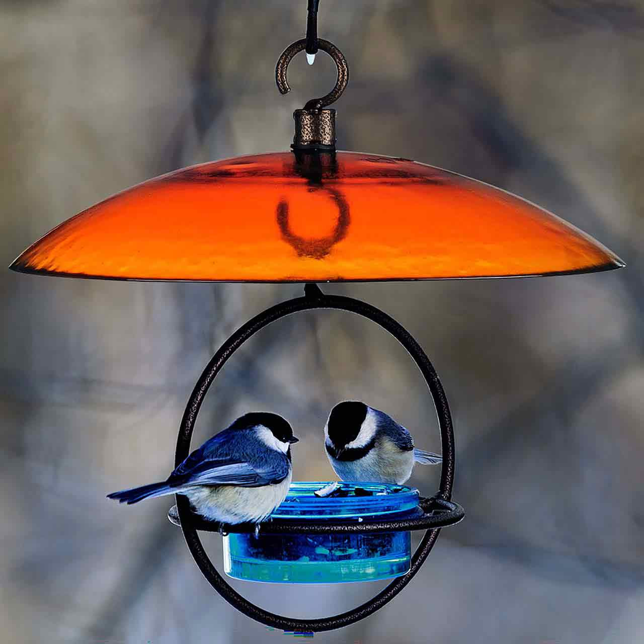 Petite Glass Baffle Dome | Mosaic Birds