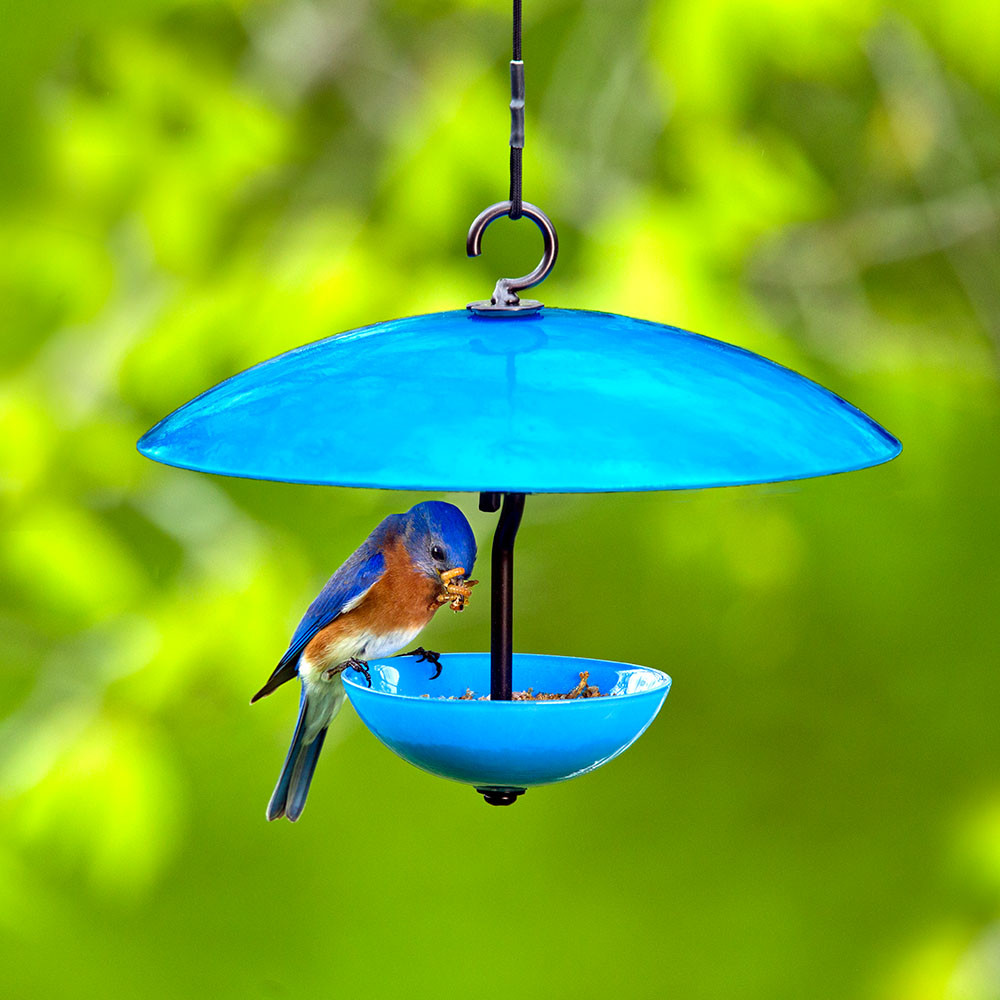 Petite Glass Baffle Dome | Mosaic Birds