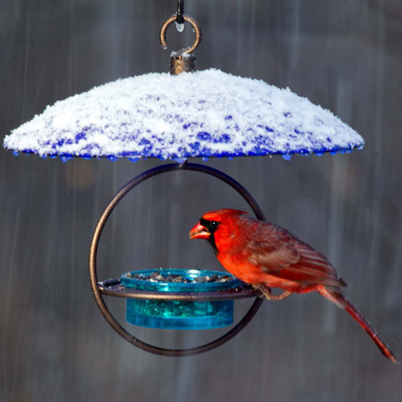 Petite Glass Baffle Dome | Mosaic Birds