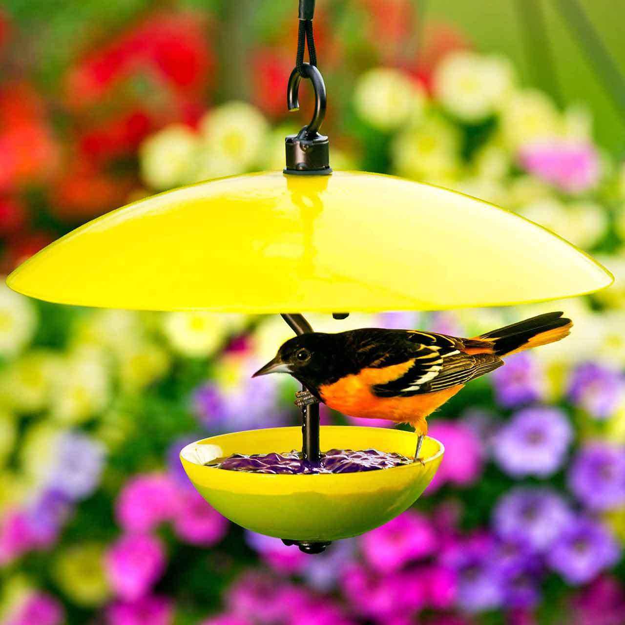 Petite Glass Baffle Dome | Mosaic Birds