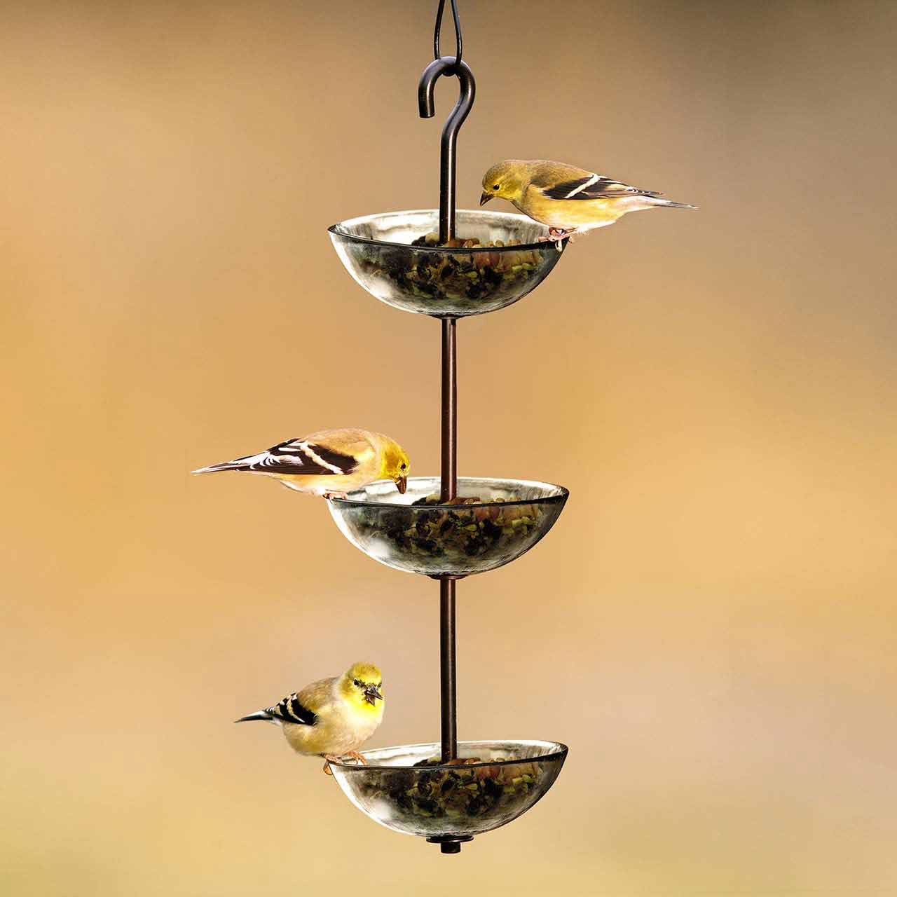 Triple Hanging Poppy Feeder | Mosaic Birds