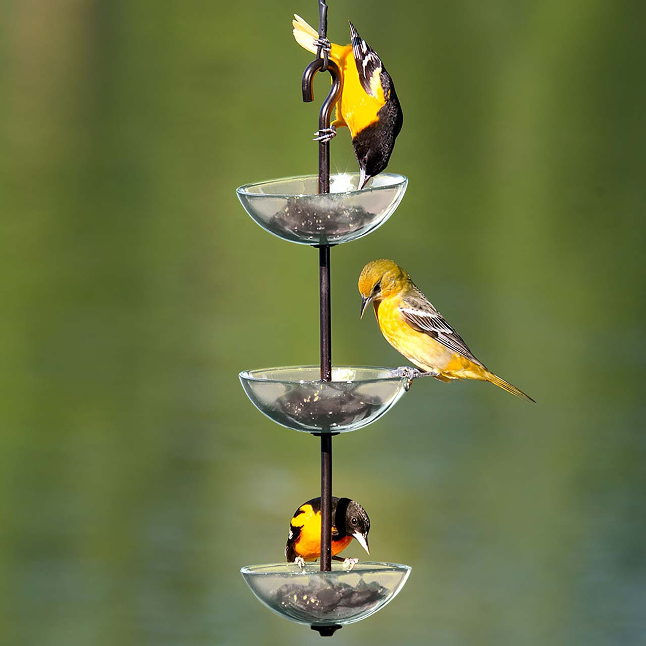 Triple Hanging Poppy Feeder | Mosaic Birds