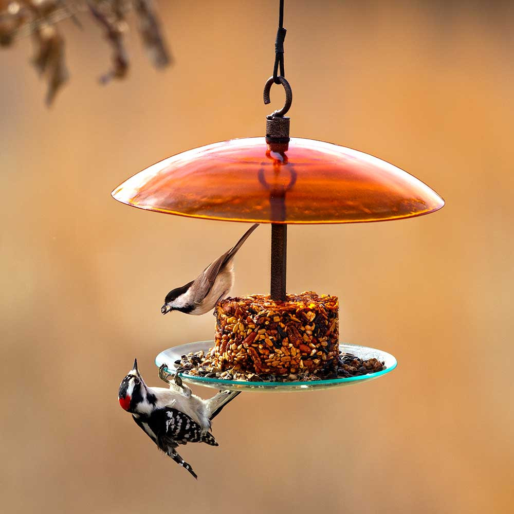 360 Degree Petite Seed Cylinder Feeder | Mosaic Birds